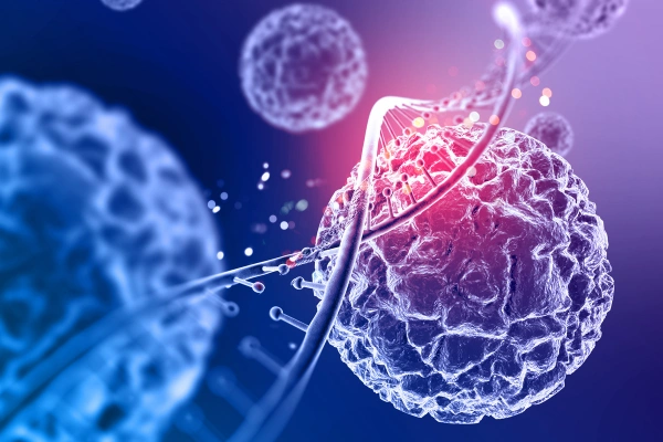 Stem Cell Therapies